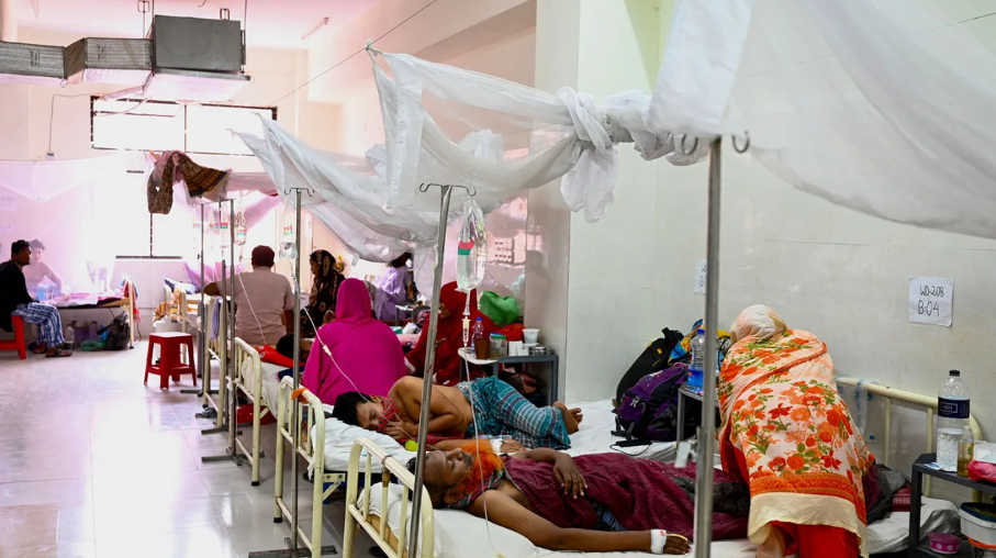 Bangladesh Grapples with Its Most Severe Dengue Outbreak, With Over 1,000 Fatalities Recorded